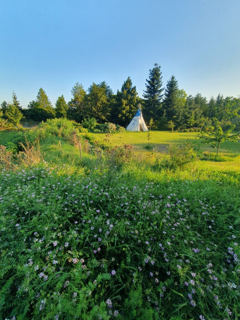 20230907_181301 - kopie